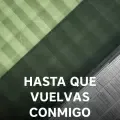 coveImg