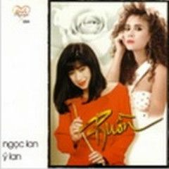 ngc-thy-ngu-nhin-cover-image