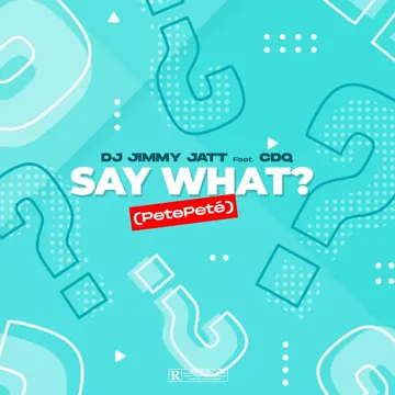 Say What? (PetePeté)-cover