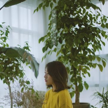 다시-cover