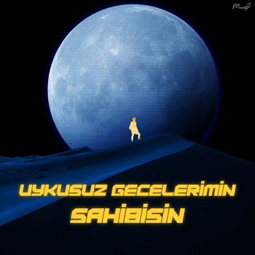 Uykusuz Gecelerimin Sahibisin-cover