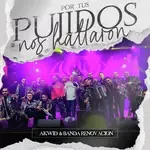 Por Tus Pujidos Nos Hallaron-cover