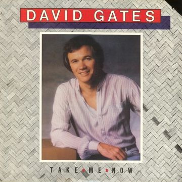 Take Me Now (David Gates) - Original Karaoke-cover