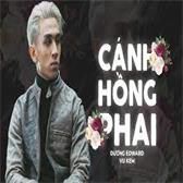 Cánh Hồng Phai ( Remix)-cover