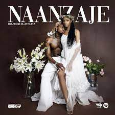 Naanzaje-cover