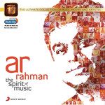 Main Albeli-cover