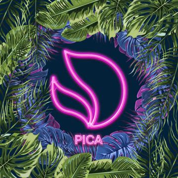 Pica-cover