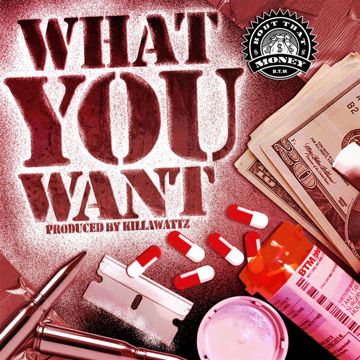 What You Want the Money For-cover