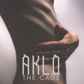 RGTO feat. SALU，H.TEFLON & Kダブシャイン-cover