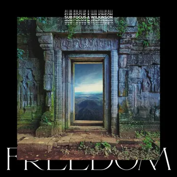 Freedom (Sub Focus x Wilkinson x High Contrast Remix)-cover