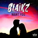 Want You(Mindblast Remix)-cover