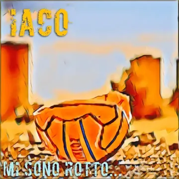 Mi sono rotto...-cover
