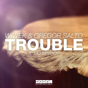 Trouble (feat. MC Spyder)-cover