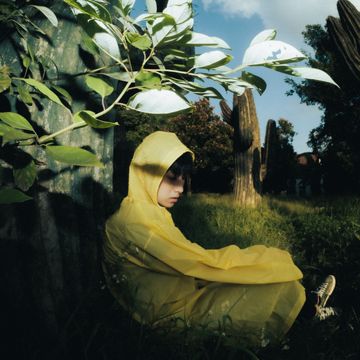 不想鸟-cover