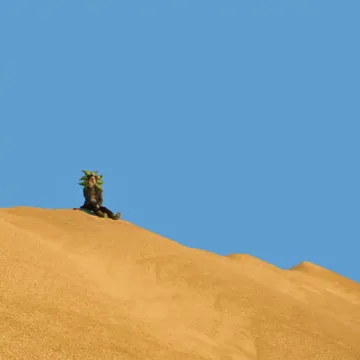 coveImg