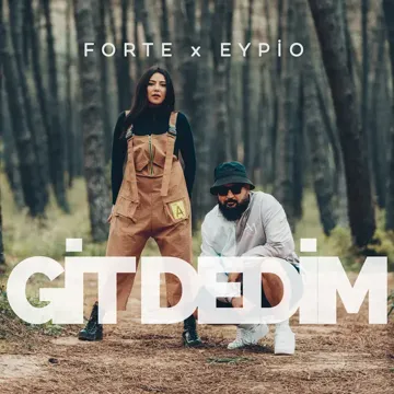 Git Dedim-cover