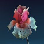 Numb & Getting Colder(Baauer Remix)-cover