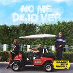 No Me Dejo Ver-cover