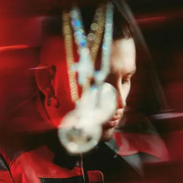 Il mio dawg-cover