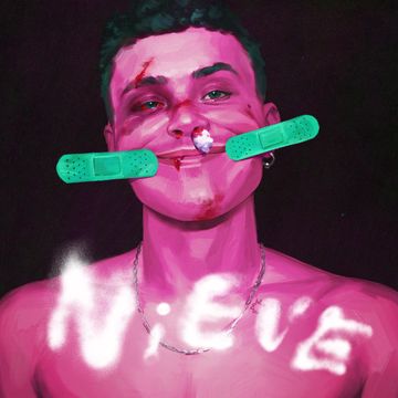 Nieve-cover