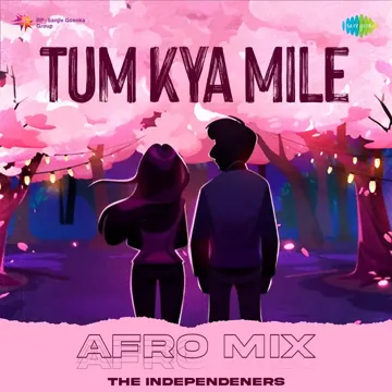 Tum Kya Mile - Afro Mix-cover