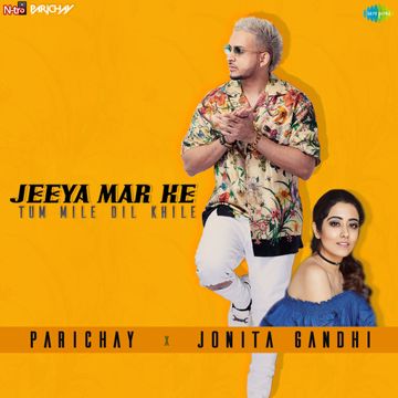 Jeeya Mar Ke Tum Mile Dil Khile-cover