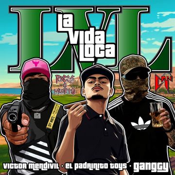 LVL-cover