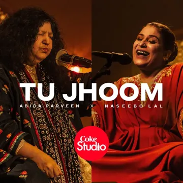 Tu Jhoom-cover