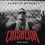 Crisálida-cover