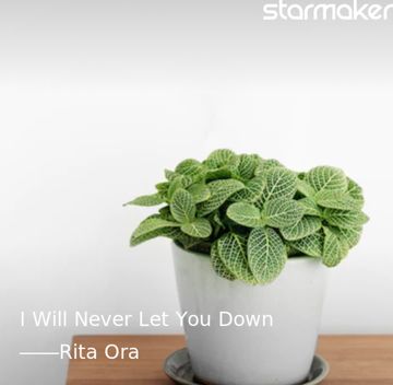 I Will Never Let You Down-cover