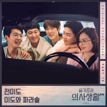 butterfly(슬기로운 의사생활 시즌2)-cover