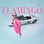 Chłopaki z ferajny-cover