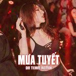 Mưa Tuyết(DN TEAM REMIX)-cover