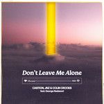 Don't Leave Me Alone-cover