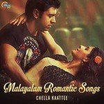 Pathivaayi Njan-cover