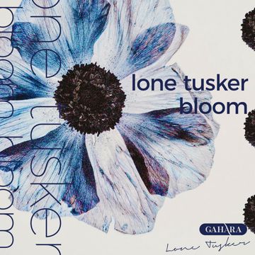 Bloom-cover