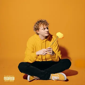 knox-sneakers-cover-image