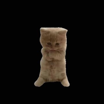 coveImg