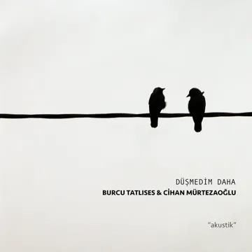 Düşmedim Daha (Akustik)-cover