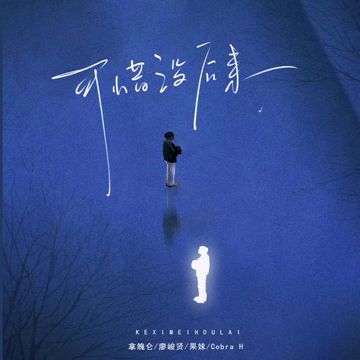 可惜没后来-cover