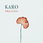 coveImg