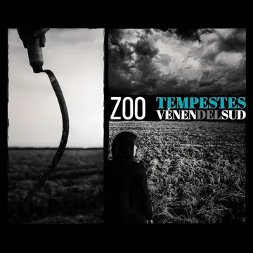 Imperfeccions (amb Los Chikos del Maíz i At Versaris)-cover