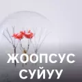 coveImg