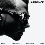 Ten Feet Tall(David Guetta Remix)-cover