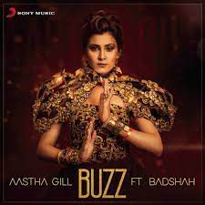 Buzz-cover