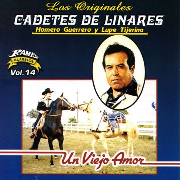 Un viejo amor-cover
