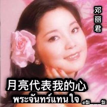 月亮代表我的心