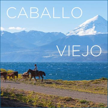 Caballo viejo