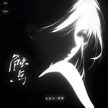 触点-cover