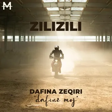 Zili Zili-cover